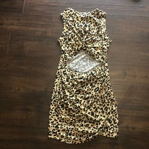 Leopard Print Dress, Size Large